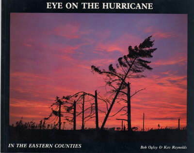 Book cover for Eye on the Hurricane