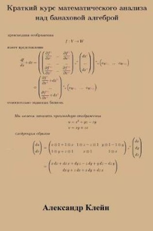 Cover of Crash Course in Calculus Over Banach Algebra (Russian Edition)