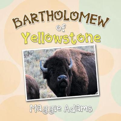 Book cover for Bartholomew of Yellowstone