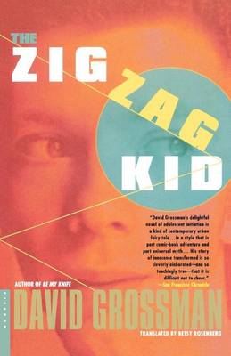 Book cover for The Zig Zag Kid