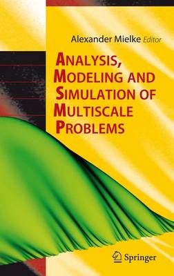 Book cover for Analysis, Modeling and Simulation of Multiscale Problems