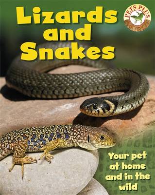 Book cover for Lizards and Snakes