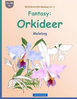 Book cover for BROCKHAUSEN Malebog Vol. 3 - Fantasy