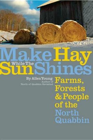 Cover of Make Hay While the Sun Shines