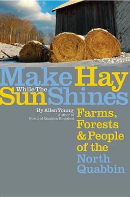 Book cover for Make Hay While the Sun Shines