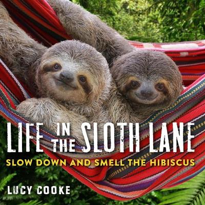 Book cover for Life in the Sloth Lane