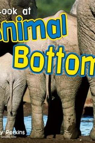 Cover of Let's Look at Animal Bottoms