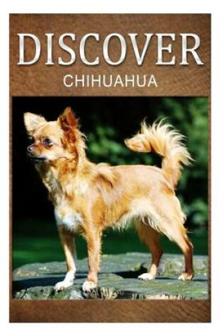 Cover of Chihuahua - Discover