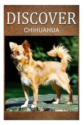 Book cover for Chihuahua - Discover