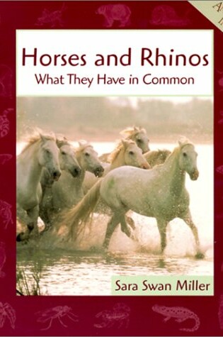 Cover of Horses and Rhinos