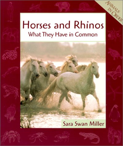 Book cover for Horses and Rhinos
