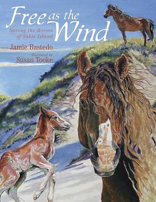 Book cover for Free as the Wind