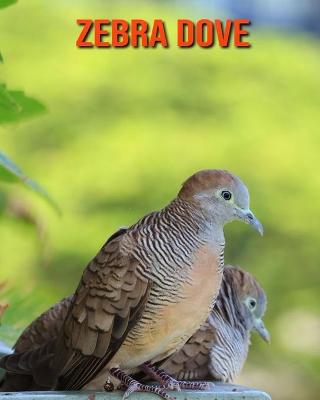 Book cover for Zebra Dove