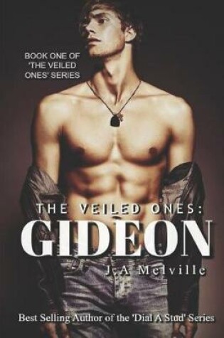 Cover of The Veiled Ones