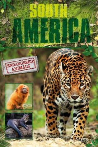 Cover of South America