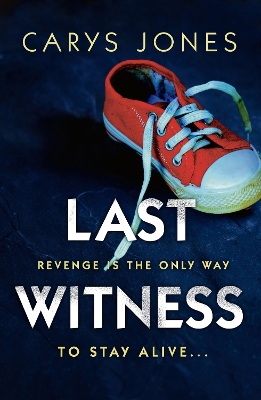 Book cover for Last Witness