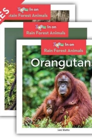 Cover of Rain Forest Animals (Set)