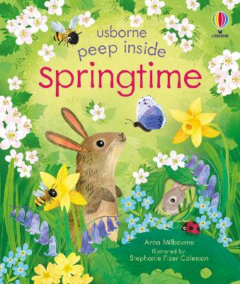Book cover for Peep Inside Springtime