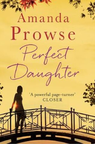 Cover of Perfect Daughter