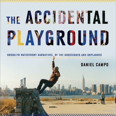 Book cover for The Accidental Playground