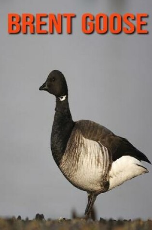 Cover of Brent Goose