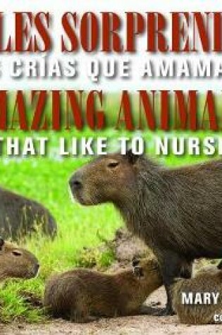 Cover of Animales Sorprendentes / Amazing Animals