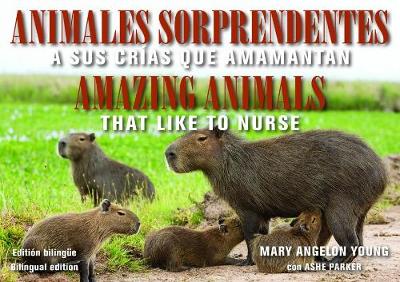 Book cover for Animales Sorprendentes / Amazing Animals