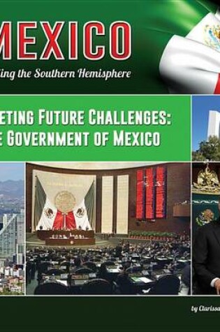 Cover of Meeting Future Challenges