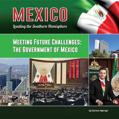 Cover of Meeting Future Challenges