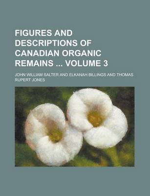 Book cover for Figures and Descriptions of Canadian Organic Remains Volume 3