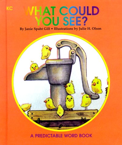 Cover of What Could You See?