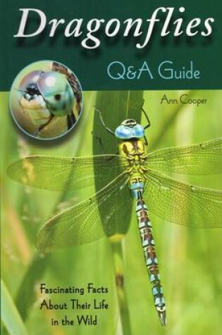 Cover of Dragonflies: Q&A Guide