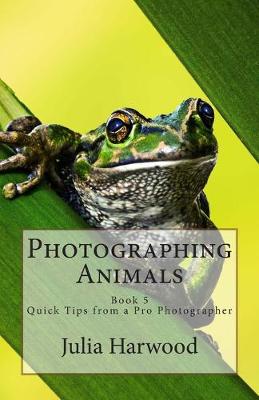Cover of Photographing Animals