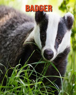 Book cover for Badger