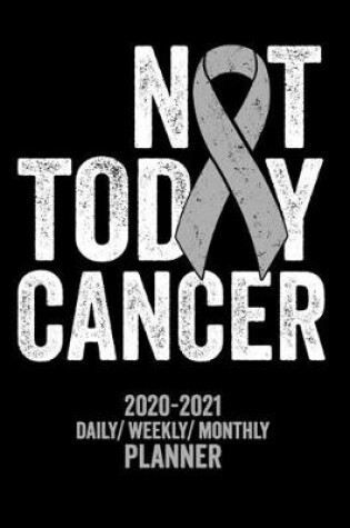 Cover of Not Today Brain Cancer