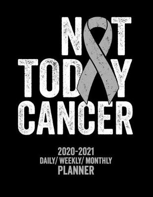 Book cover for Not Today Brain Cancer