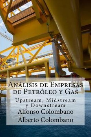 Cover of Analisis de Empresas de Petroleo y Gas