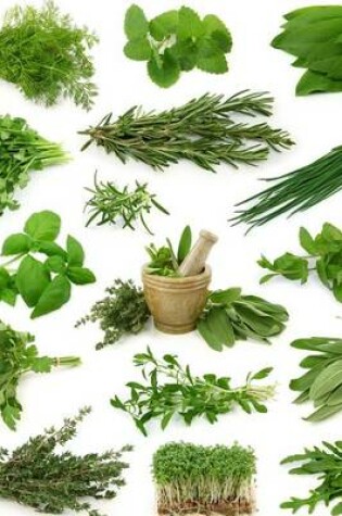 Cover of A Collage of Fresh Herbs from the Garden