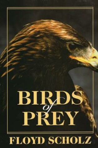 Cover of Birds of Prey