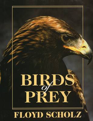 Book cover for Birds of Prey