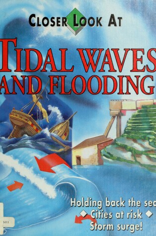 Cover of Tidal Waves and Flooding