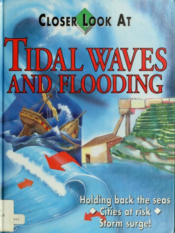 Cover of Tidal Waves and Flooding