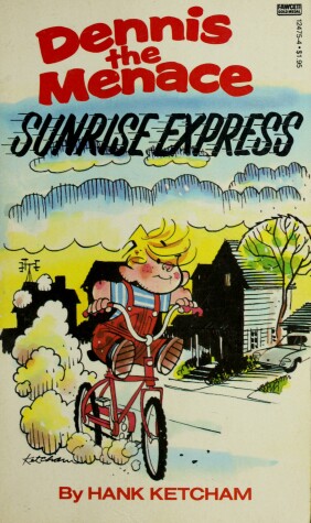 Book cover for D M Sunrise Express