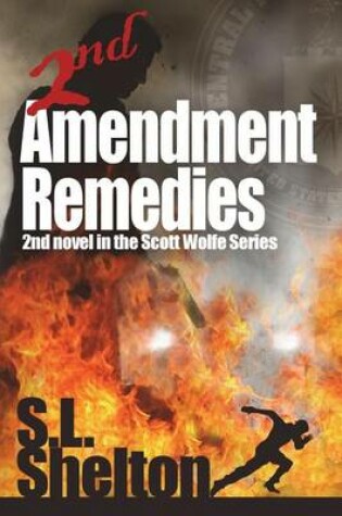 Cover of 2nd Amendment Remedies