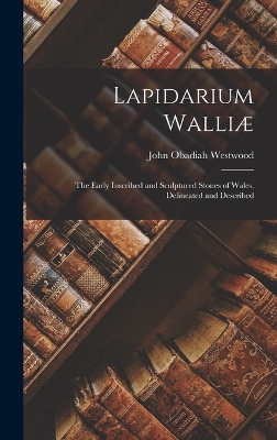 Book cover for Lapidarium Walliæ