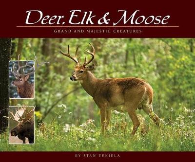 Book cover for Deer, Elk & Moose