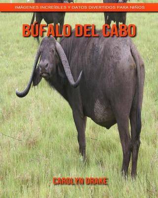Book cover for Búfalo del Cabo