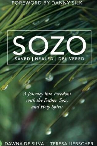 Cover of Sozo Saved Healed Delivered