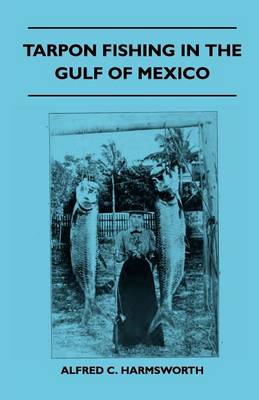 Book cover for Tarpon Fishing In The Gulf Of Mexico