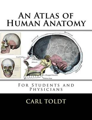 Book cover for An Atlas of Human Anatomy